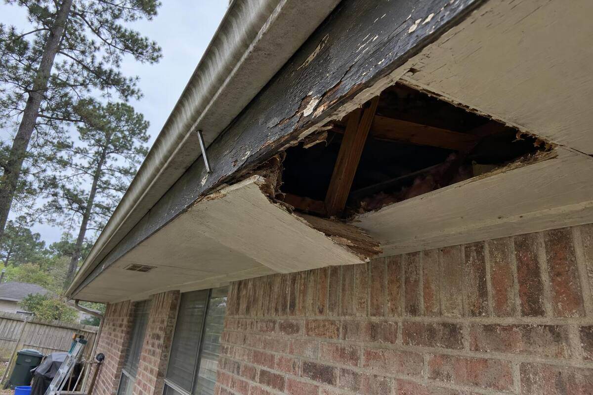 Underside of an eave where a section of soffit has fallen away, leaving an opening into the attic