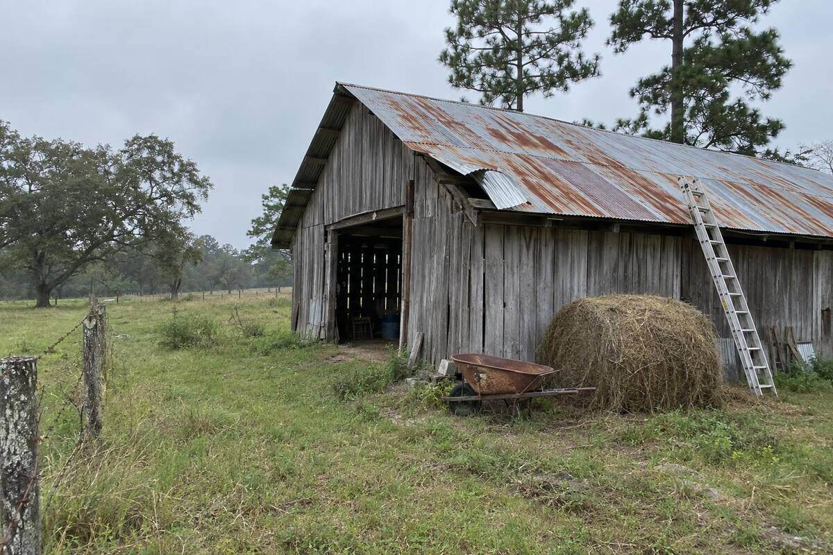 Weathered wooden barn with a rust-streaked metal roof and lifted panels at the eave