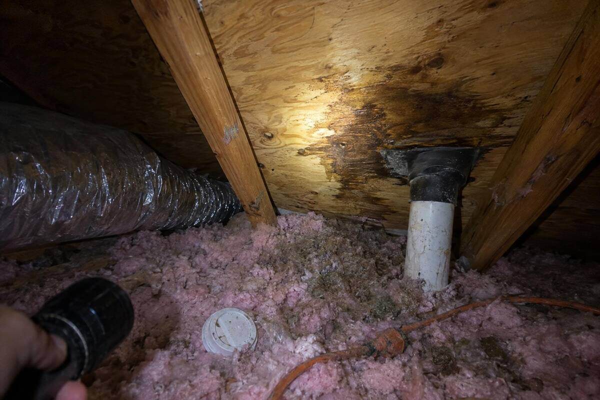 Flashlight on a dark water stain on attic decking beside a plumbing vent pipe